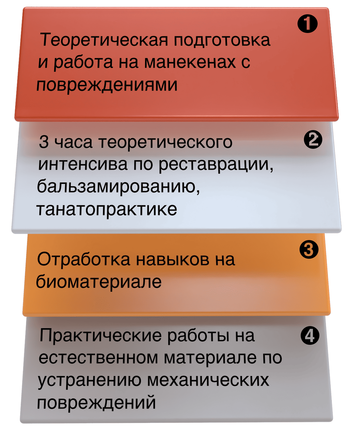Как проходит обучение